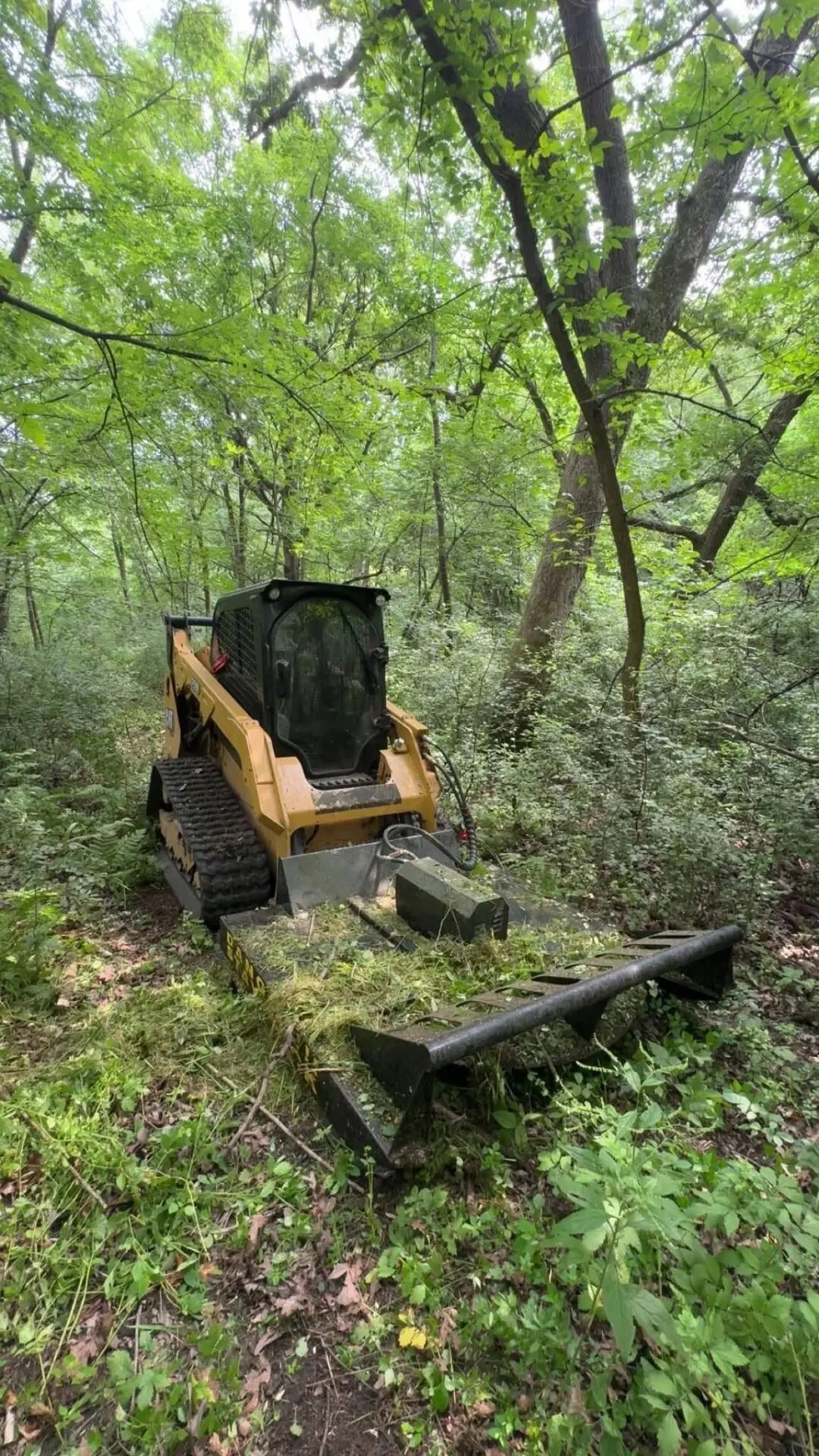 Compact track loader mulching under mature hardwood trees